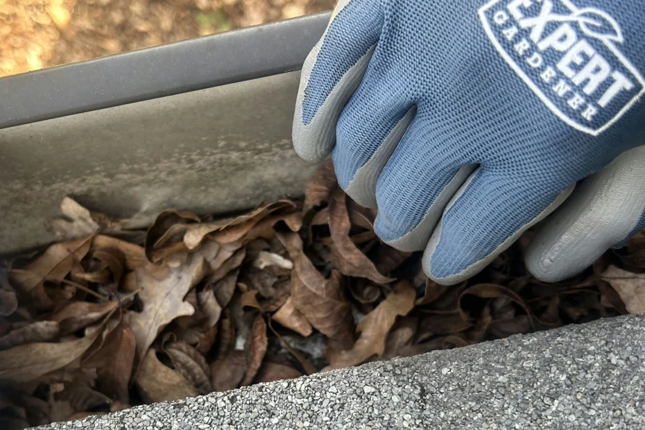 Gutter Cleaning East Highland Park