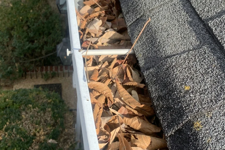 Gutter Cleaning East Highland Park