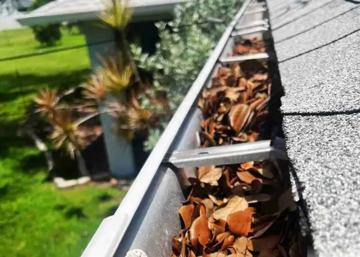 Gutter Cleaning East Highland Park home page